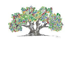 AledoOleo